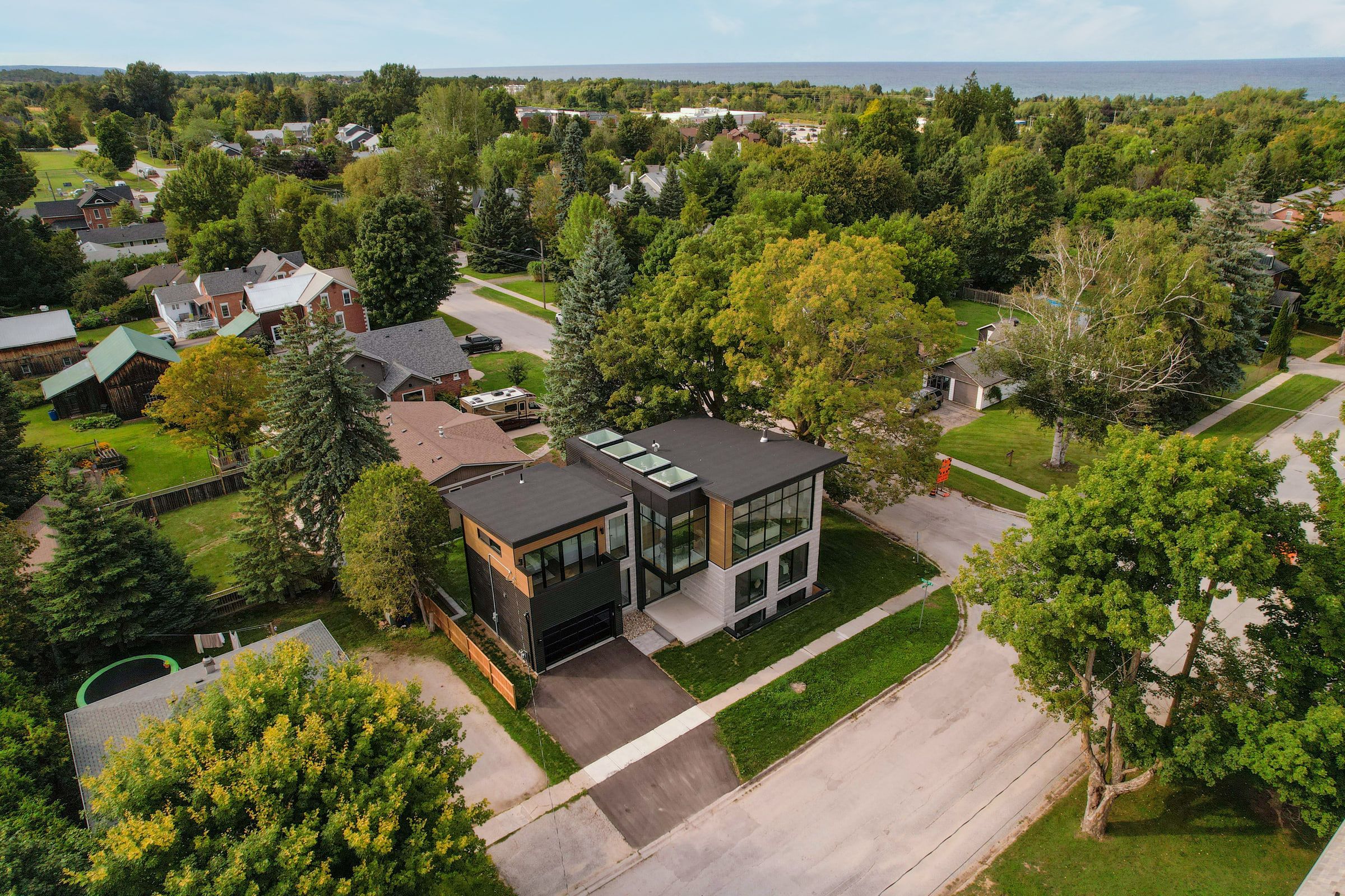 Drone view of 41 Alice Street among neighbouring homes and the tree canopy.