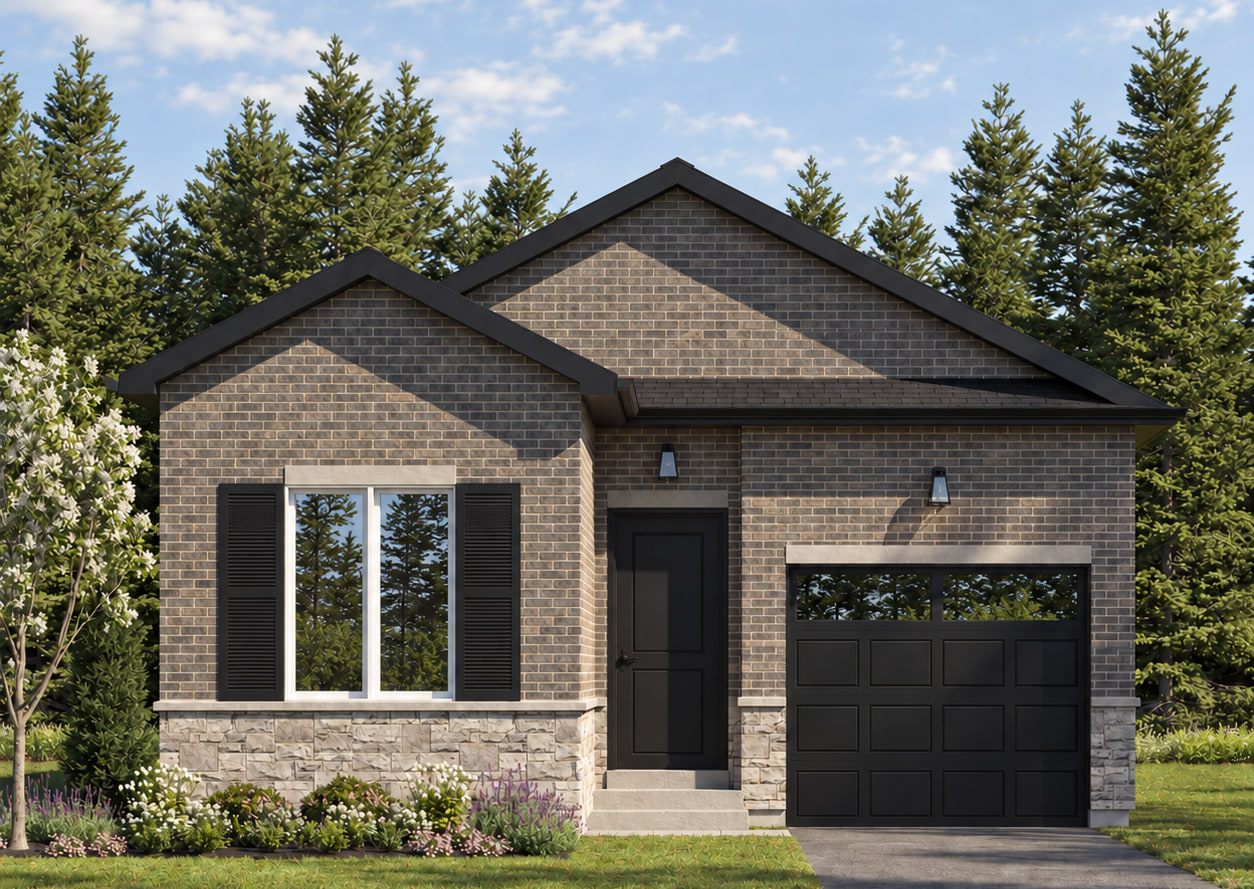 Alder, elevation B