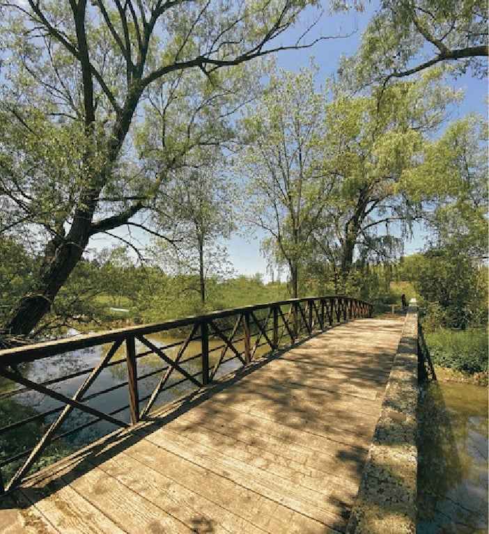 A footbridge along a wooded riverside trail.