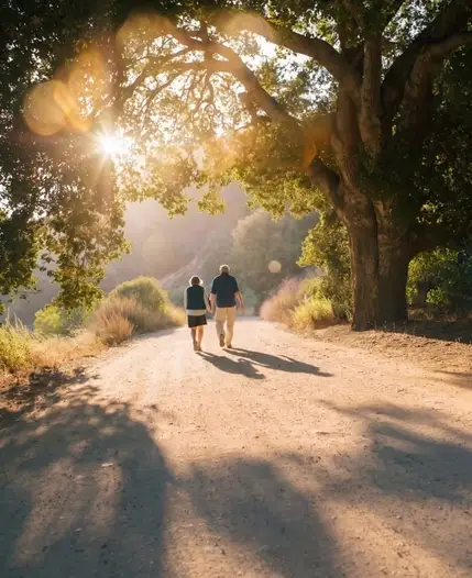 Two people walking beneath sunlit trees on a forest path.